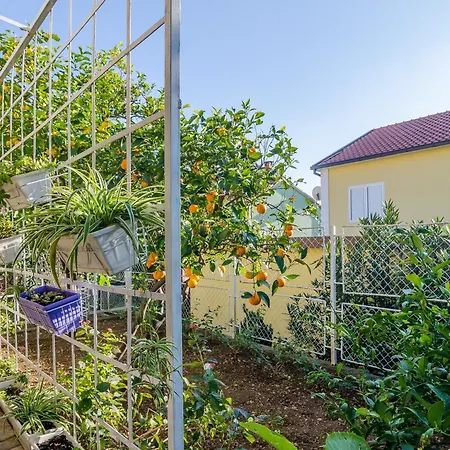 By The Sea Orebic, Peljesac - 24372 * Orebić